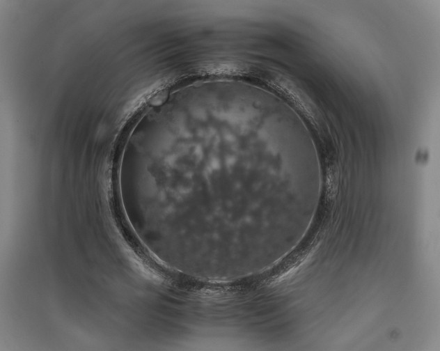 X0000091550725200708171305
