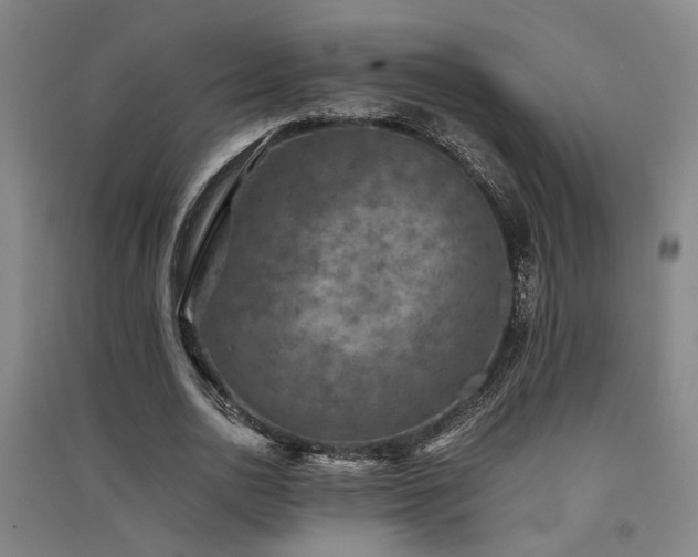 X0000091550726200708171305
