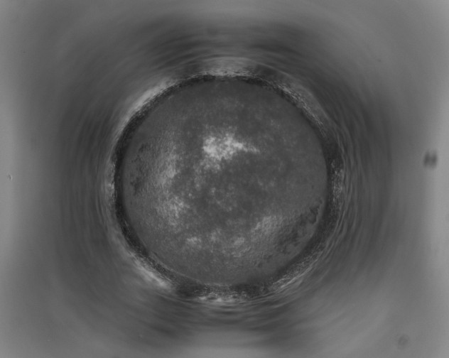 X0000091550727200708171305