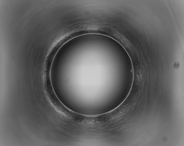 X0000091550728200708171305