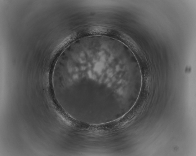X0000091550729200708171305