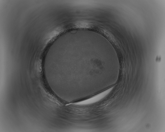 X0000091550731200708171305