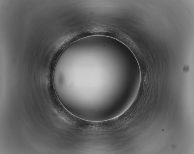 X0000091550732200708171305