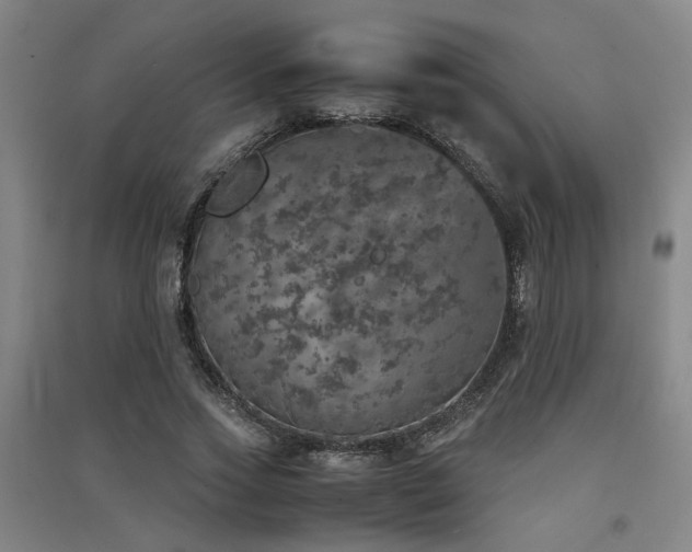 X0000091550733200708171305