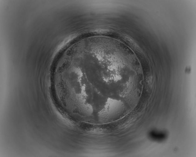 X0000091550734200708171305