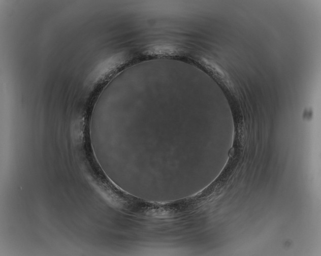 X0000091550735200708171305