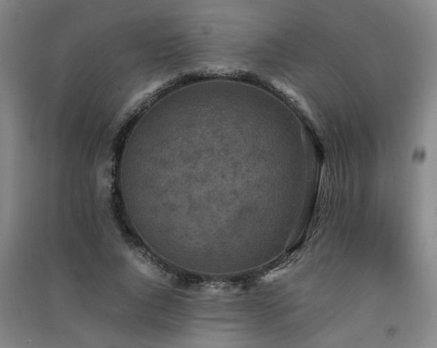 X0000091550736200708171305