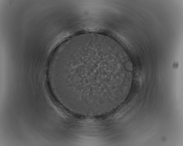 X0000091550738200708171305