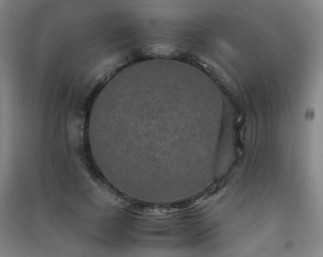 X0000091550739200708171305
