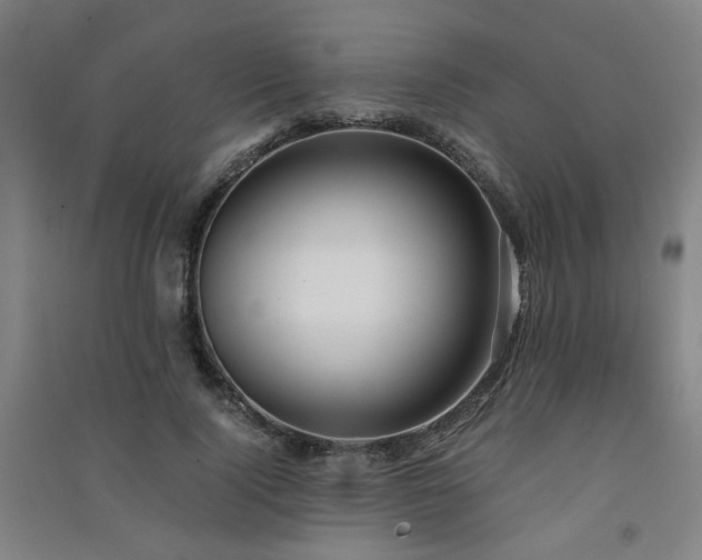 X0000091550740200708171305