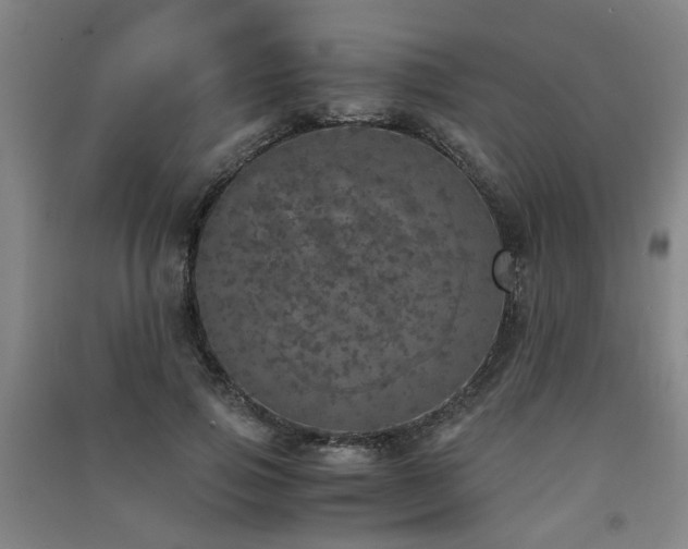 X0000091550741200708171305