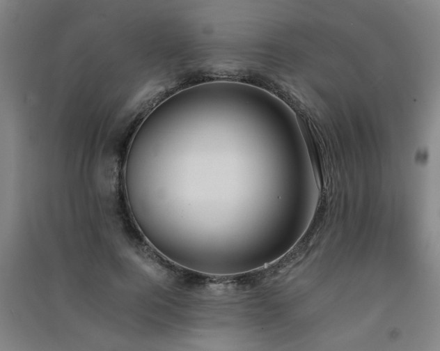 X0000091550744200708171305