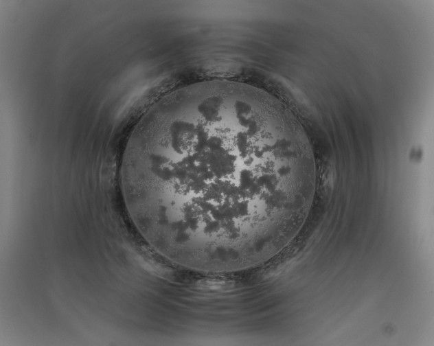 X0000091550745200708171305