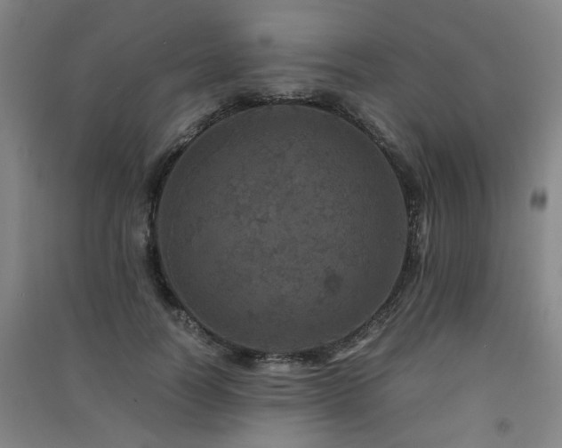 X0000091550746200708171305