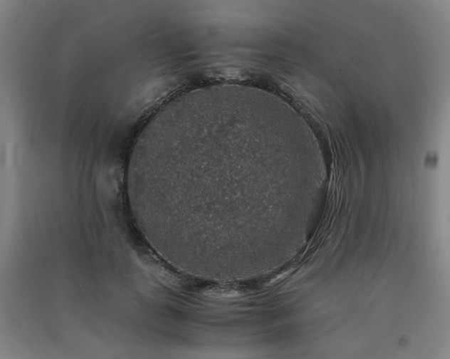 X0000091550747200708171305