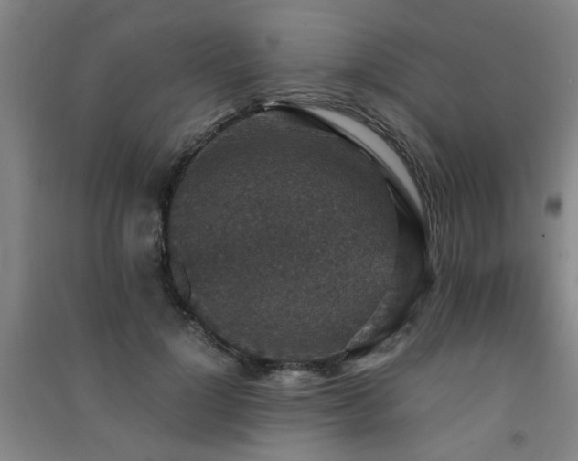 X0000091550748200708171305