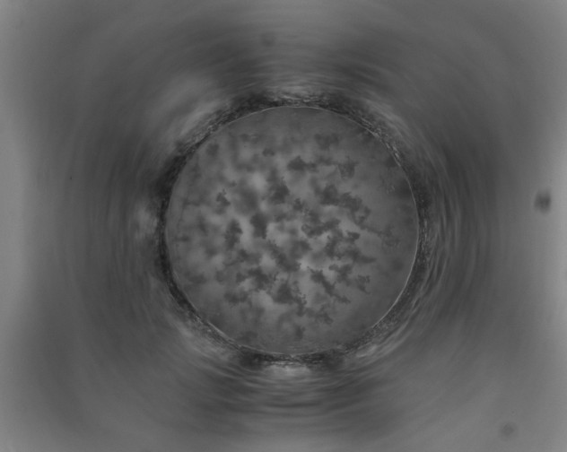 X0000091550749200708171305