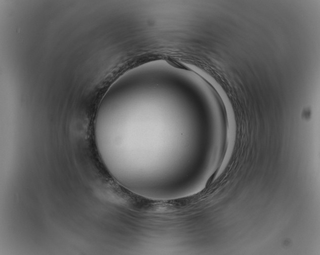X0000091550750200708171305