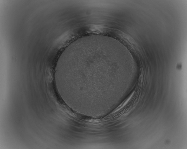 X0000091550751200708171305
