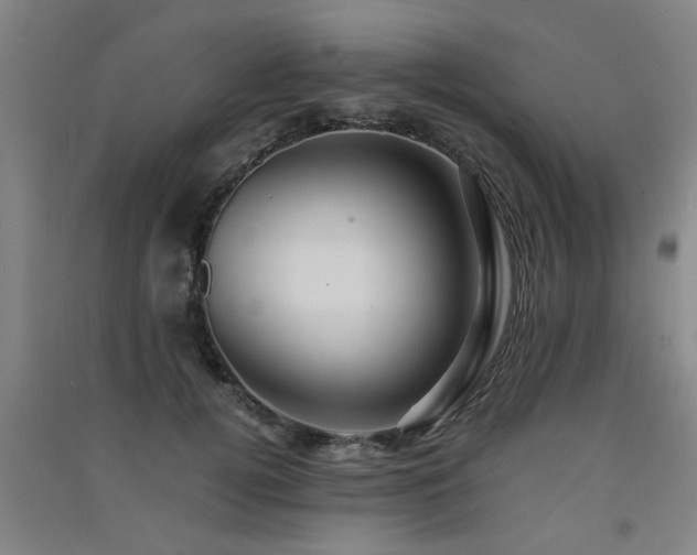 X0000091550752200708171305