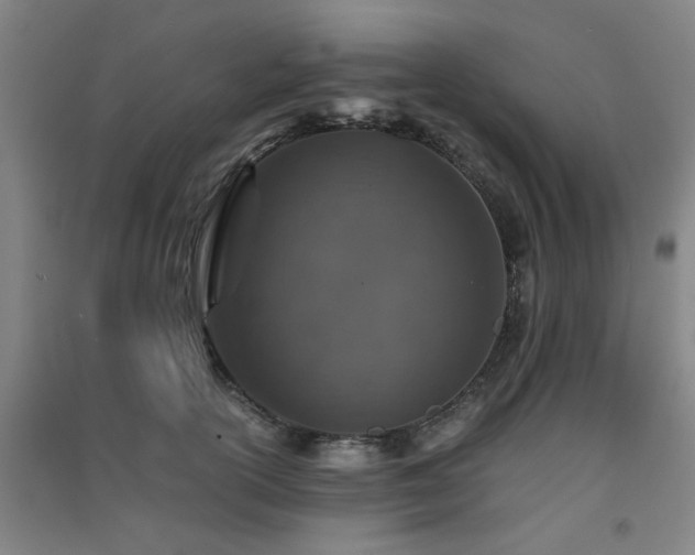 X0000091550754200708171305