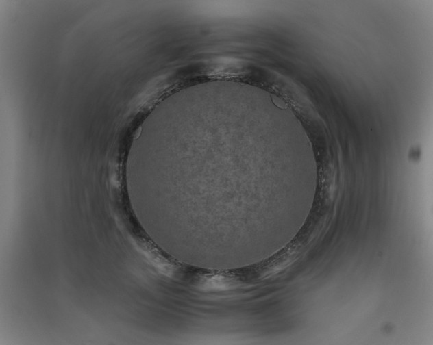 X0000091550755200708171305