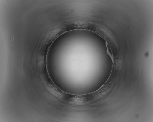 X0000091550756200708171305