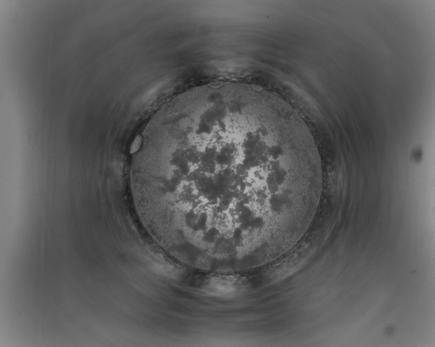 X0000091550757200708171305