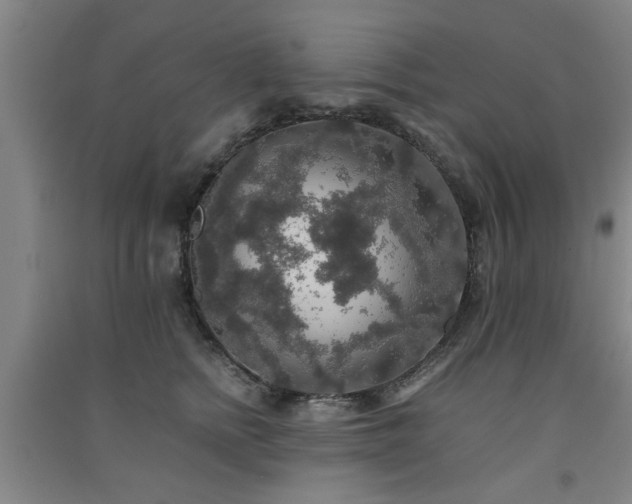 X0000091550758200708171305