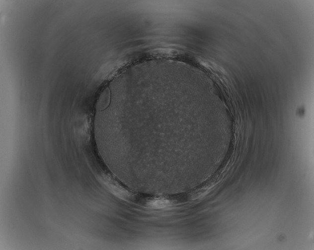 X0000091550759200708171305