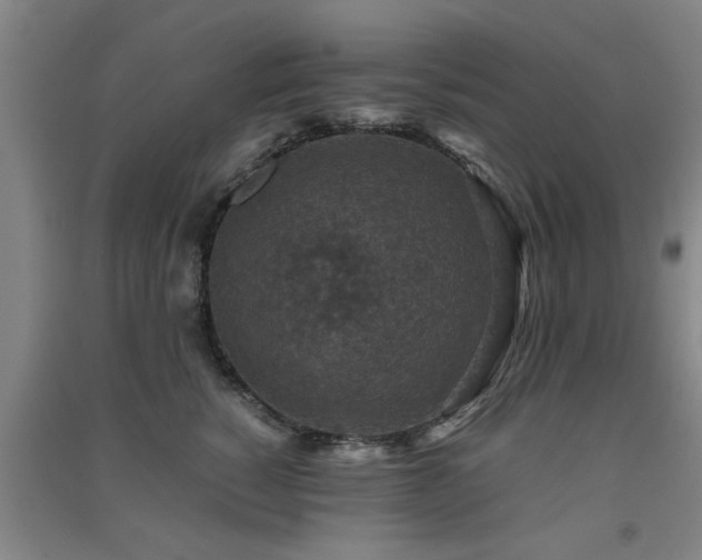 X0000091550760200708171305