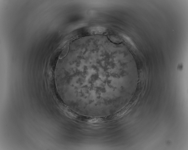 X0000091550761200708171305