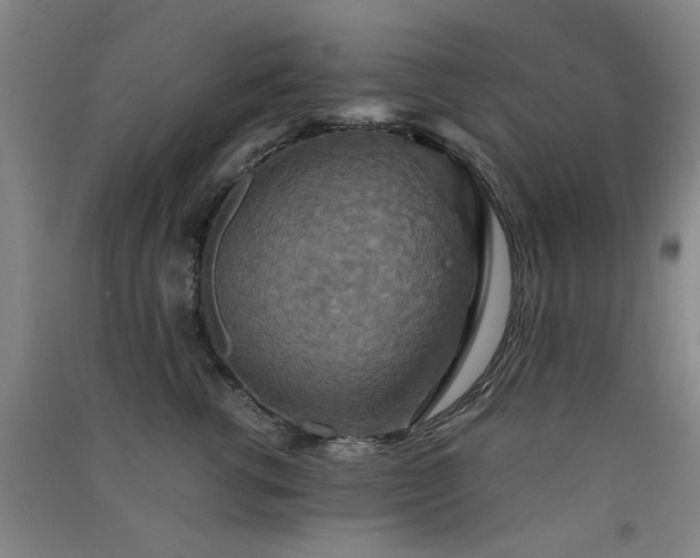X0000091550762200708171305