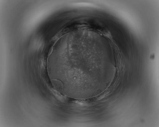X0000091550763200708171305