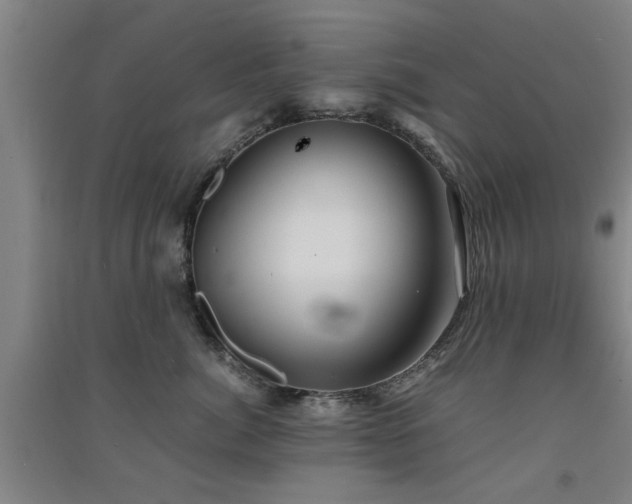 X0000091550764200708171305