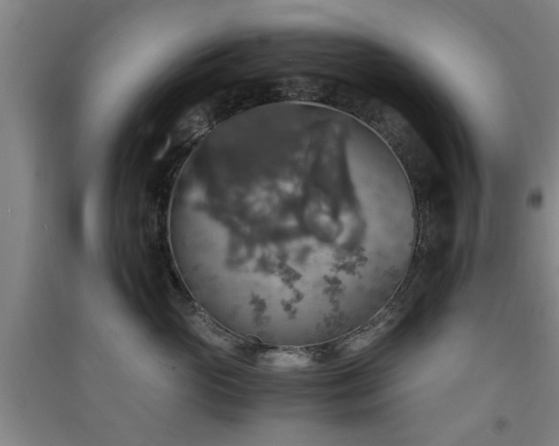 X0000091550765200708171305