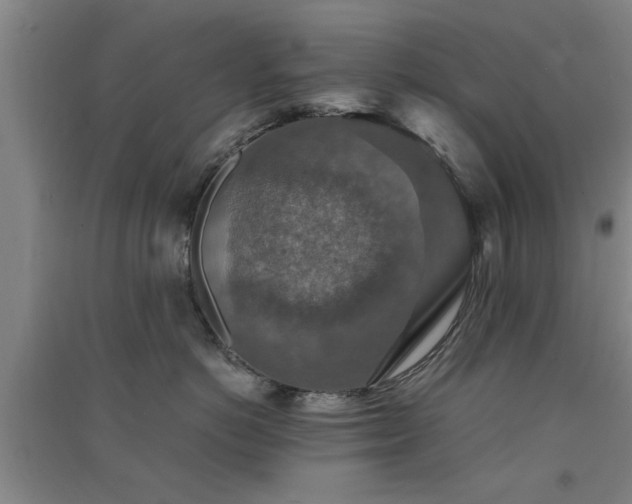 X0000091550766200708171305