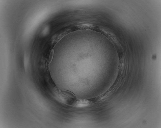 X0000091550767200708171305