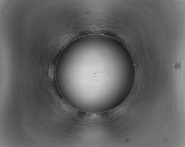 X0000091550768200708171305