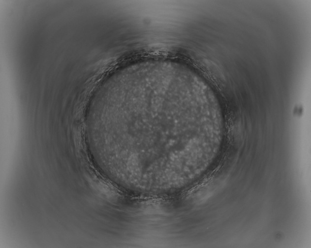 X0000091550769200708171305