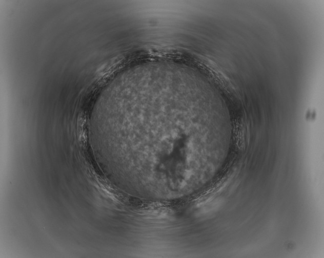 X0000091550770200708171305
