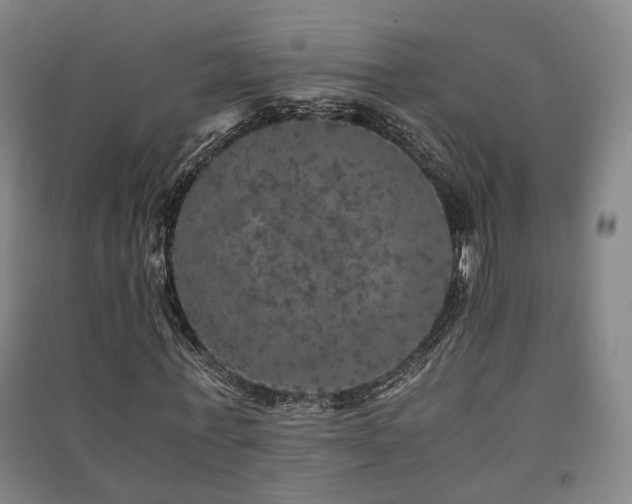 X0000091550771200708171305