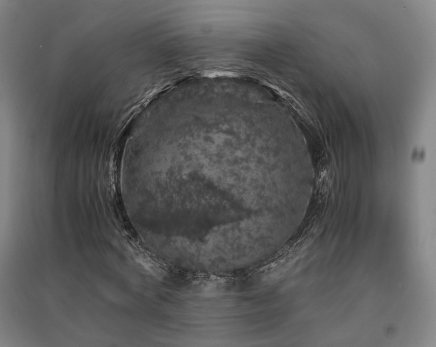 X0000091550772200708171305