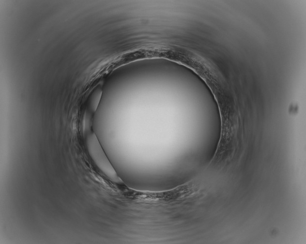 X0000091550773200708171305
