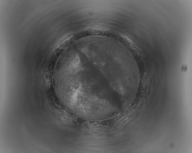 X0000091550774200708171305