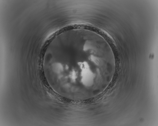 X0000091550775200708171305