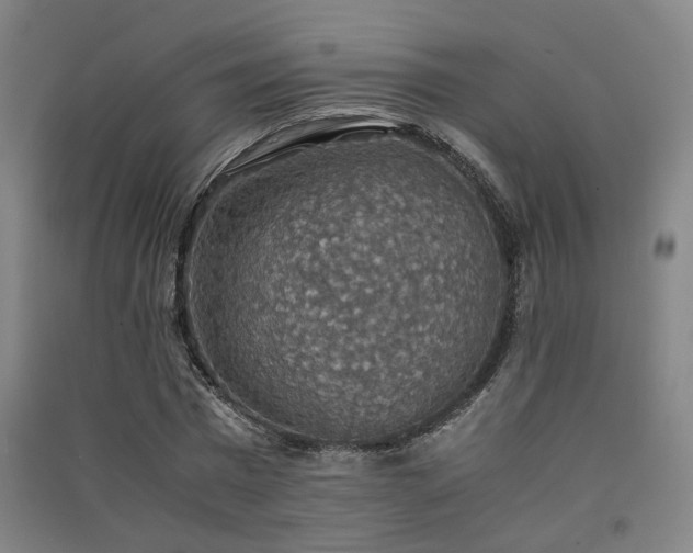 X0000091550777200708171305