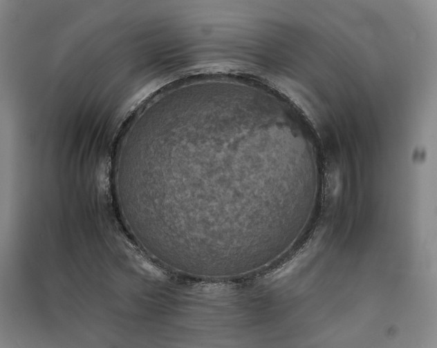 X0000091550778200708171305