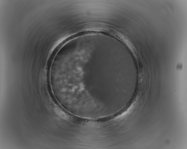 X0000091550779200708171305