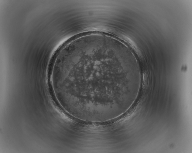 X0000091550780200708171305